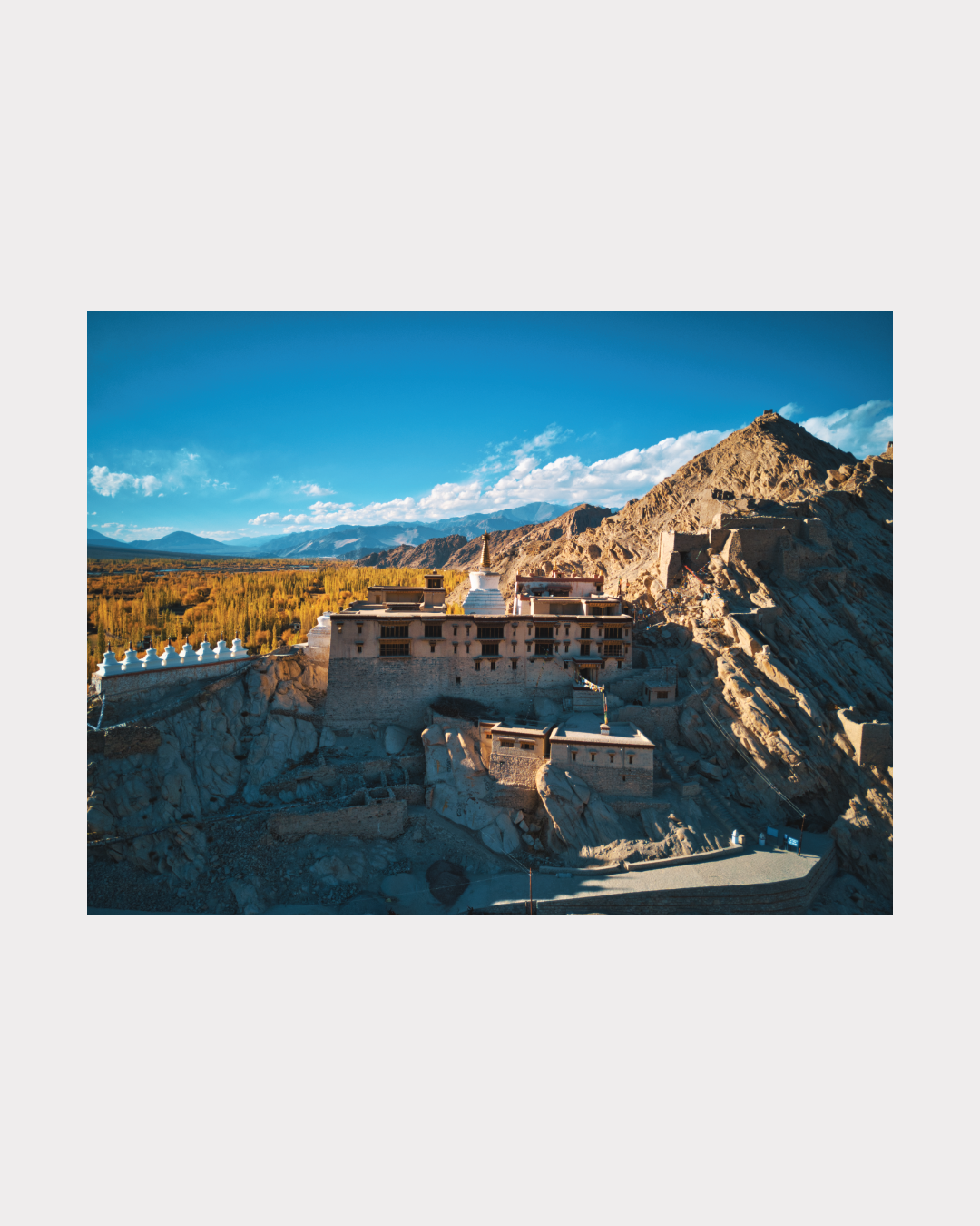 The Leh Royal Palace