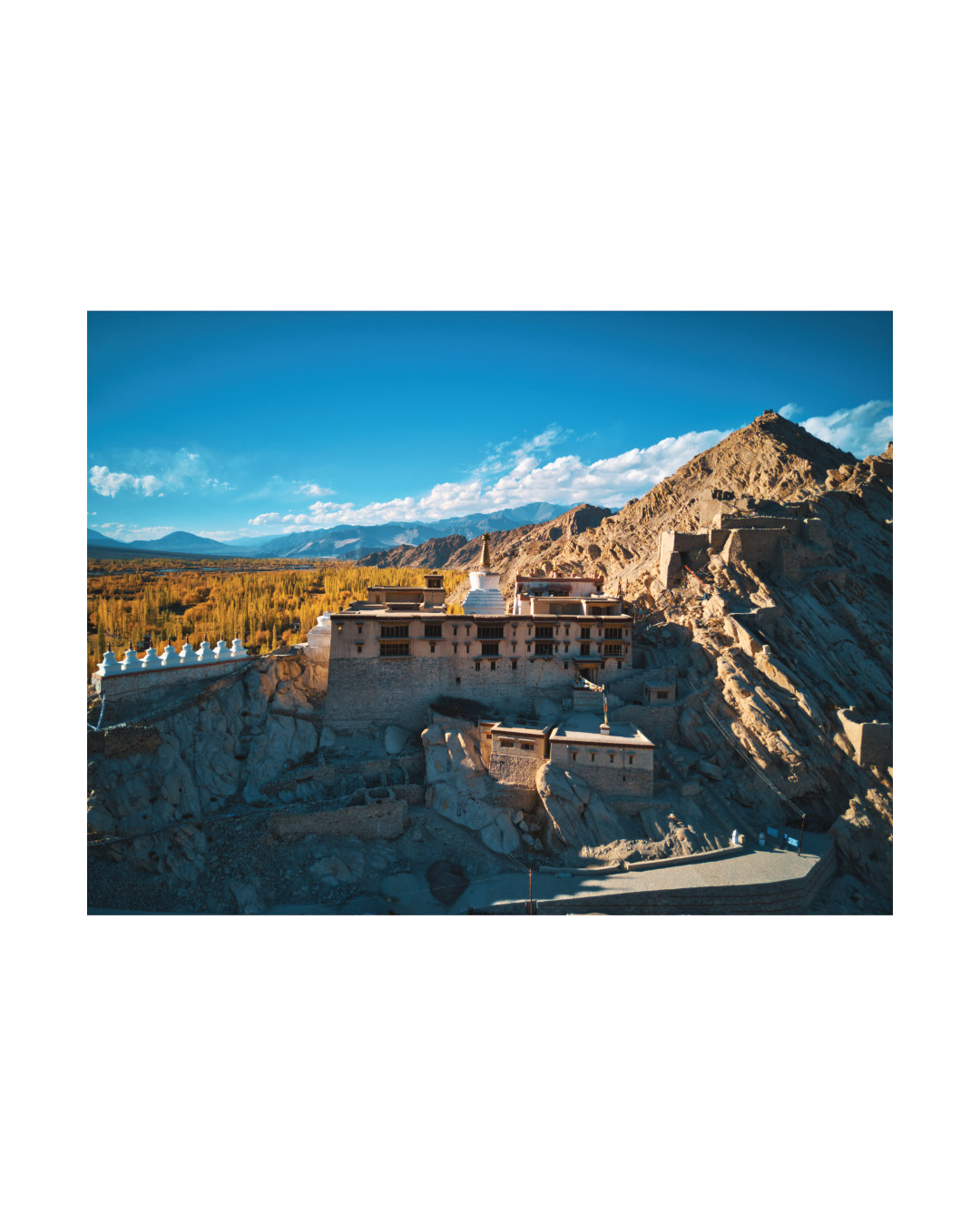 The Leh Royal Palace