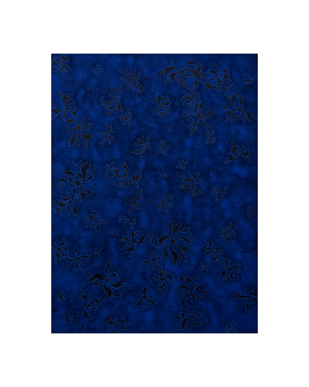 Indigo 1
