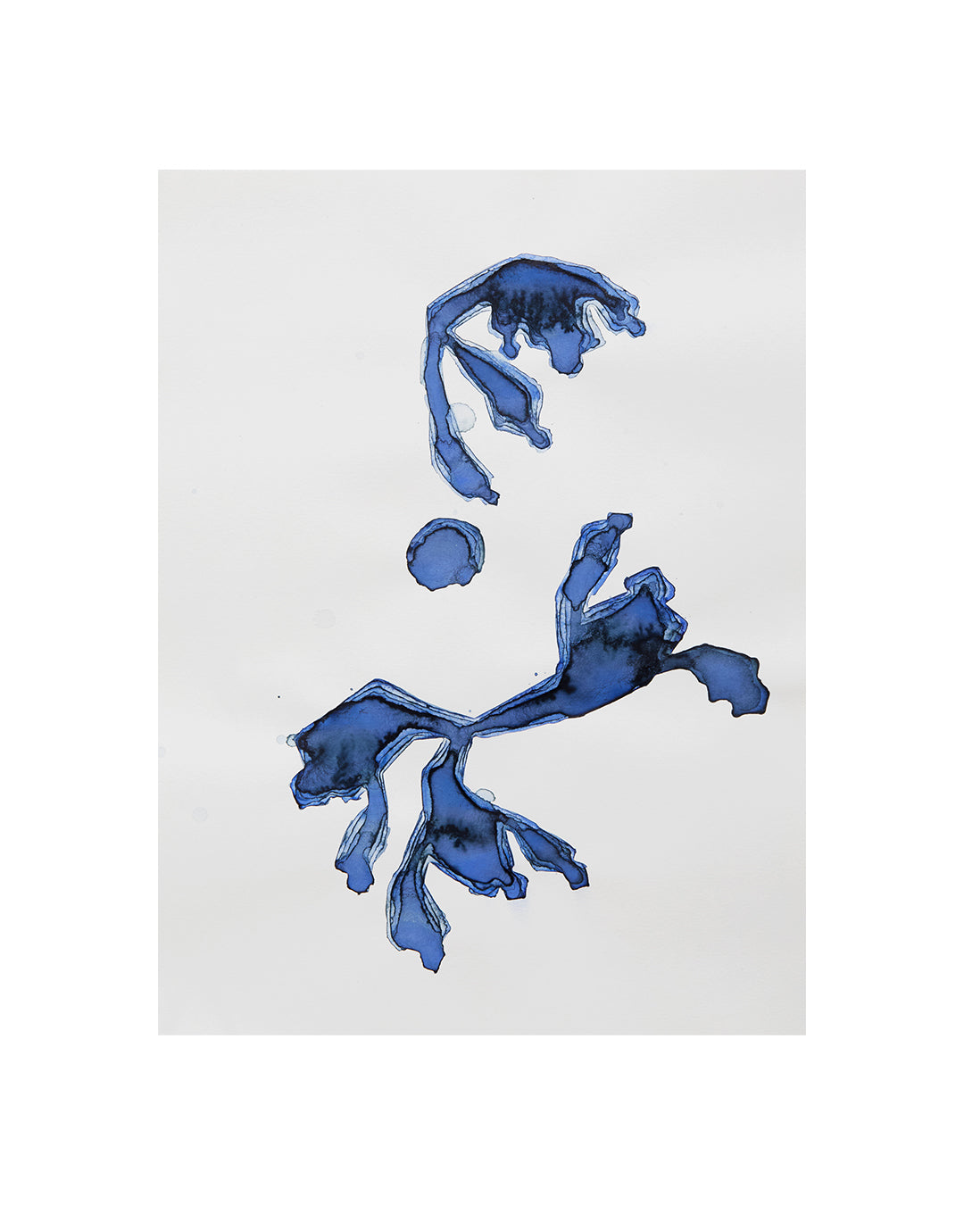 Indigo 10