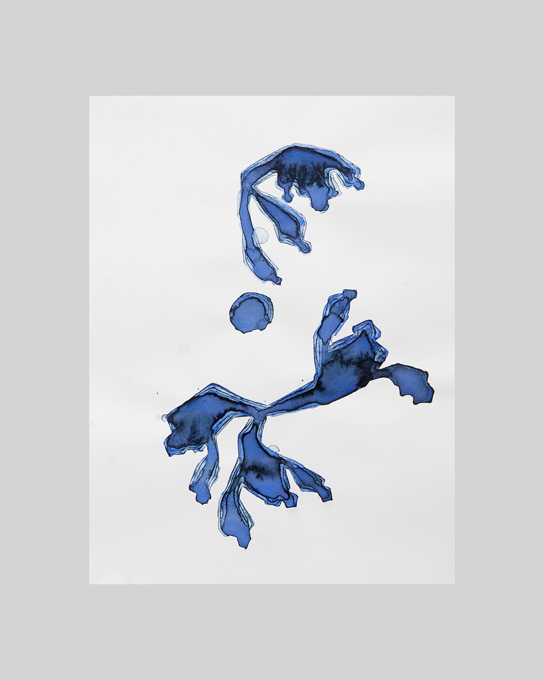 Indigo 10