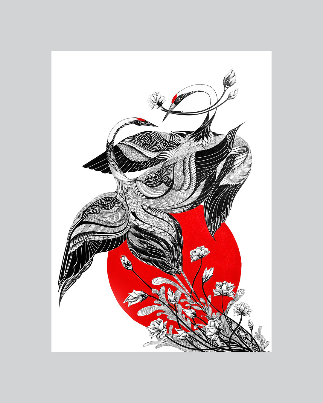 The Crane Series - Trancendence