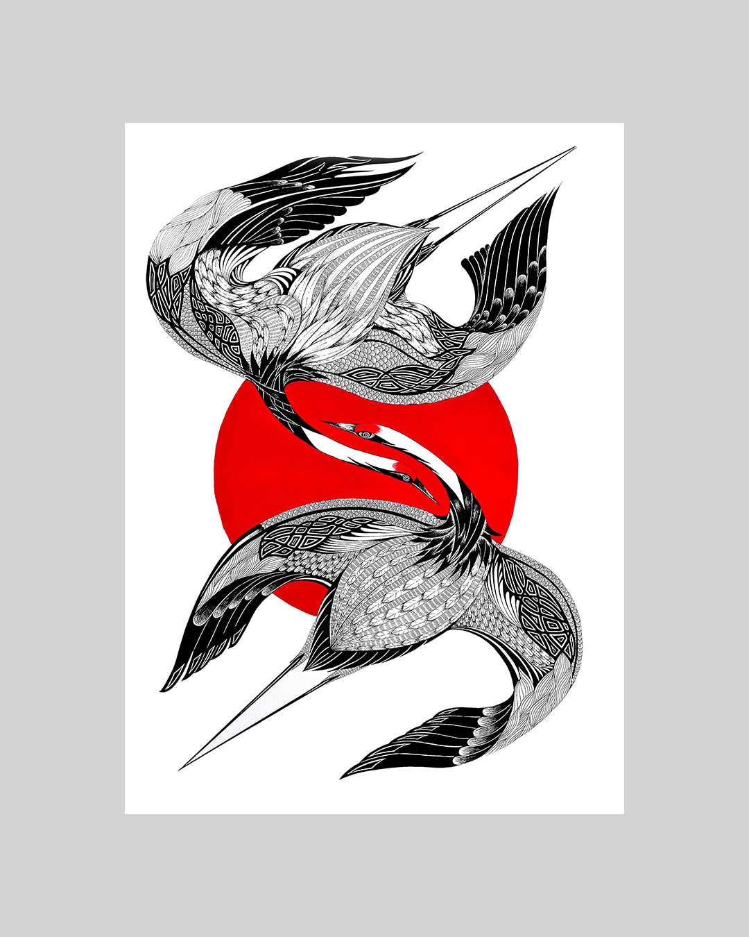 The Crane Series - Convergence